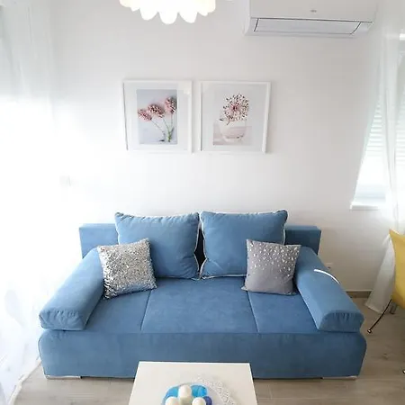 Flowers, Free Garage Parking Zadar